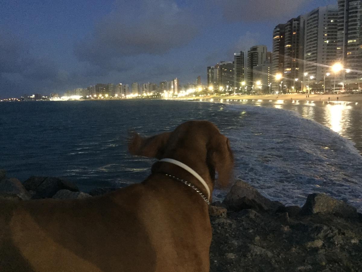 Apartamento na melhor localização de fortaleza!! Fortaleza (Ceara) Exterior foto